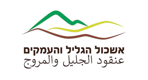 NG Studio - חברת בניית אתרים וקידום אתרים