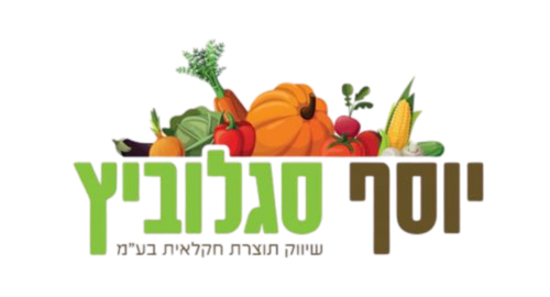 NG Studio - חברת בניית אתרים וקידום אתרים