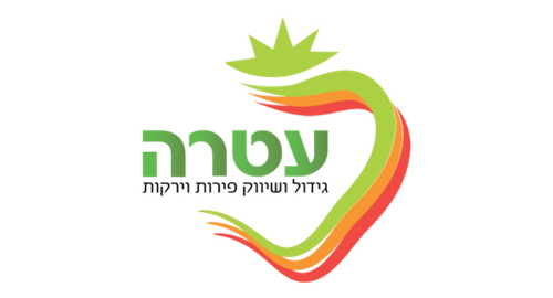 NG Studio - חברת בניית אתרים וקידום אתרים
