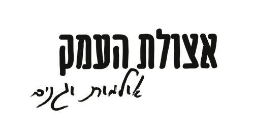 NG Studio - חברת בניית אתרים וקידום אתרים